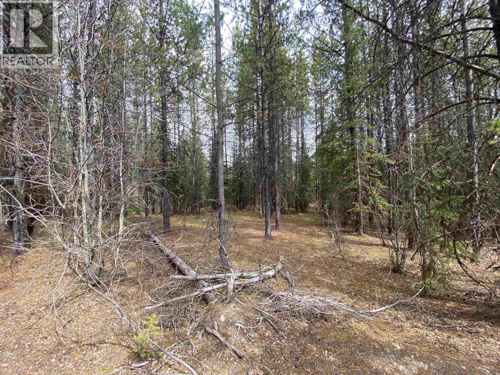29205 BINTA MAIN FOREST SERVICE ROAD - 14