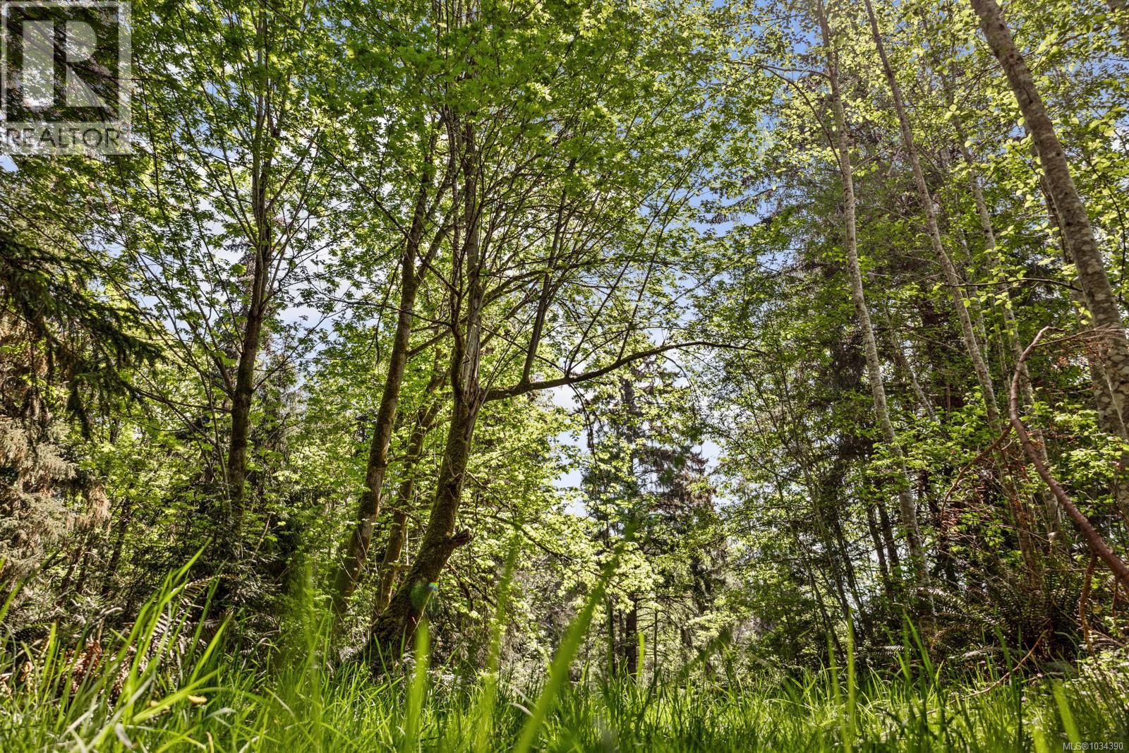 264 Sutil Rd, Quadra Island
