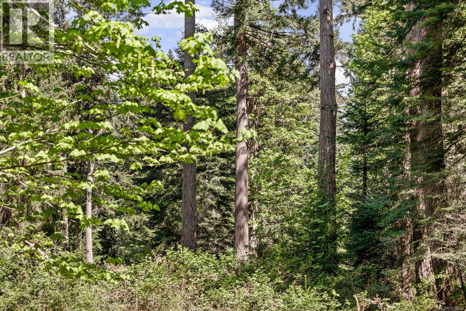 264 Sutil Rd, Quadra Island