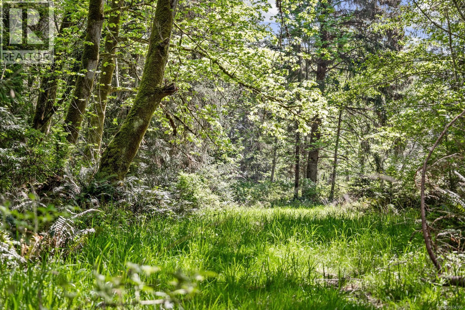 264 Sutil Rd, Quadra Island