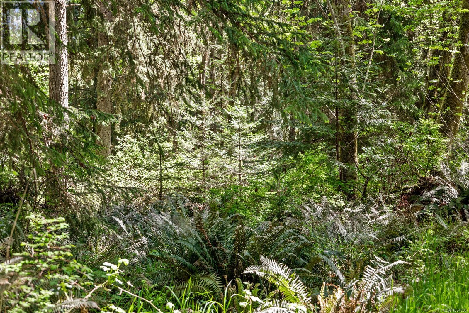 264 Sutil Rd, Quadra Island