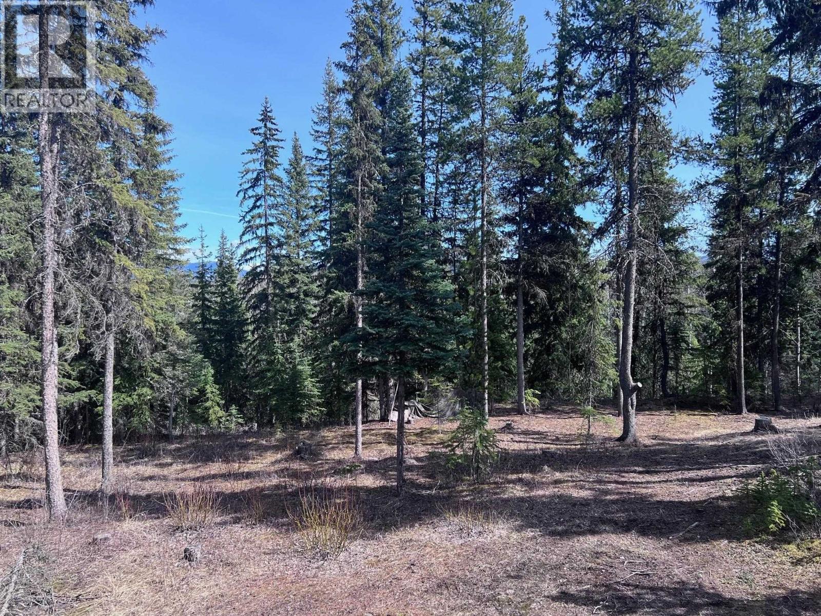 3170 MOUNTAINVIEW ROAD, Smithers