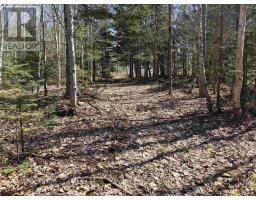 1925 Highway 215, Tennecape, NS B0N2R0 Photo 7