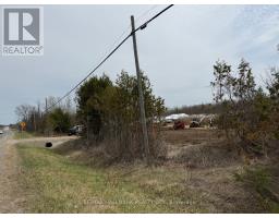 4431 Baseline Road W, Georgina, ON L0E1R0 Photo 11