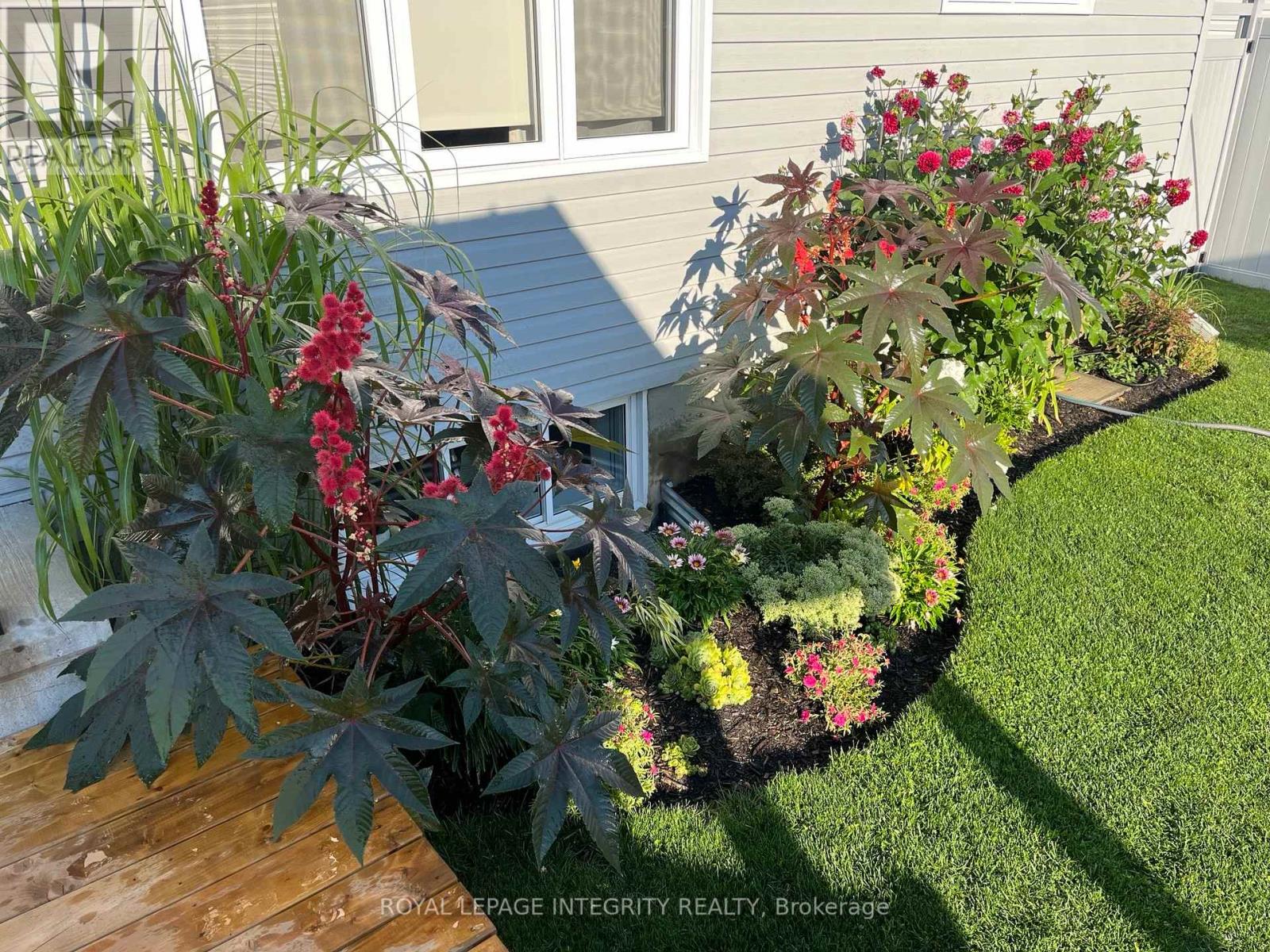 204 HYBRID STREET - 32