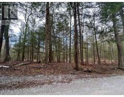 0 Fire Route 267, Trent Lakes, ON K0L1J0 Photo 6