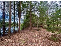 0 Fire Route 267, Trent Lakes, ON K0L1J0 Photo 7