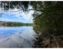 0 Fire Route 267, Trent Lakes, ON K0L1J0 Photo 8