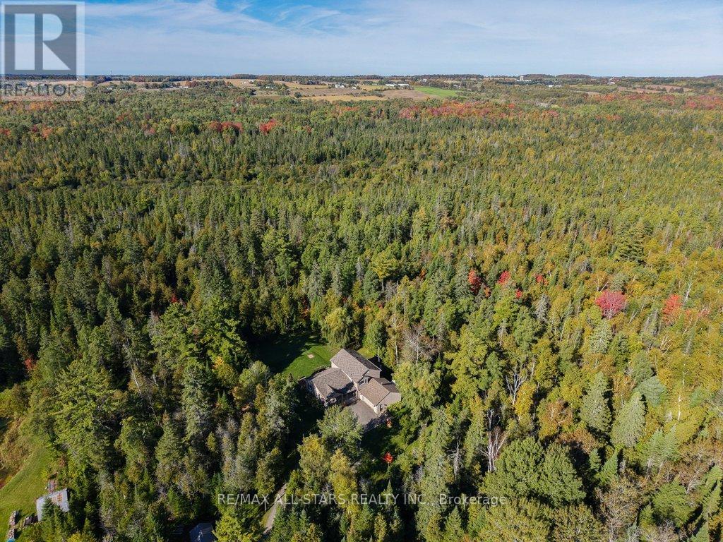9296 8 CONCESSION - 49
