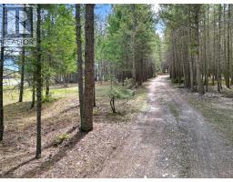3526 Island Pond Road, Skookumchuck, BC V0B2E0 Photo 65