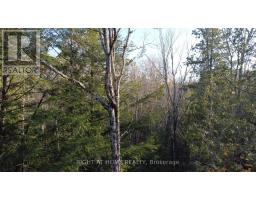 2263 Machar Strong Boundry Road, Strong, ON P0A1Z0 Photo 10