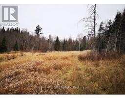 2263 Machar Strong Boundry Road, Strong, ON P0A1Z0 Photo 8