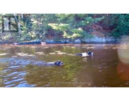 Part 2 42r21243 Edwards Island, Parry Sound Remote Area, ON P0H1Y0 Photo 7