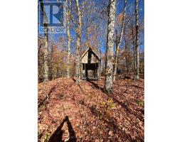 1007 Mount Stephen Road Ne, Severn, ON L0K1E0 Photo 34