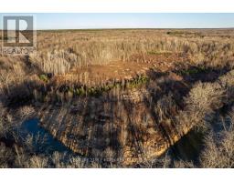 1007 Mount Stephen Road Ne, Severn, ON L0K1E0 Photo 28