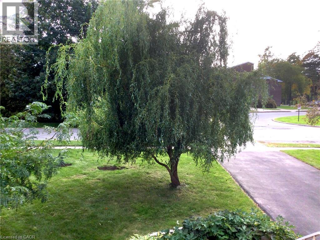 220 REGENT Avenue, Port Dover, Ontario, N0A1N0 — Photo 43
