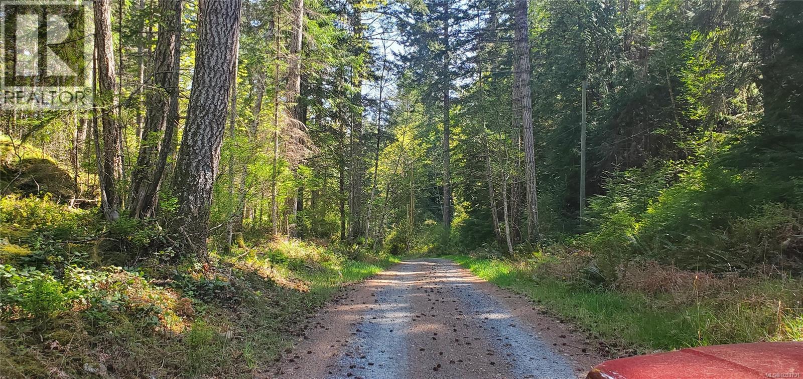 226 Bold Point Rd - 22