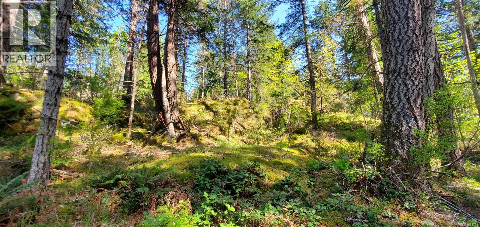 226 Bold Point Rd - 63