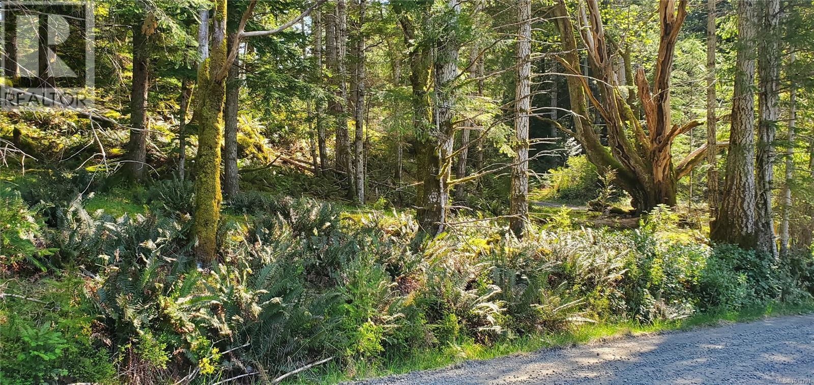 226 Bold Point Rd - 65