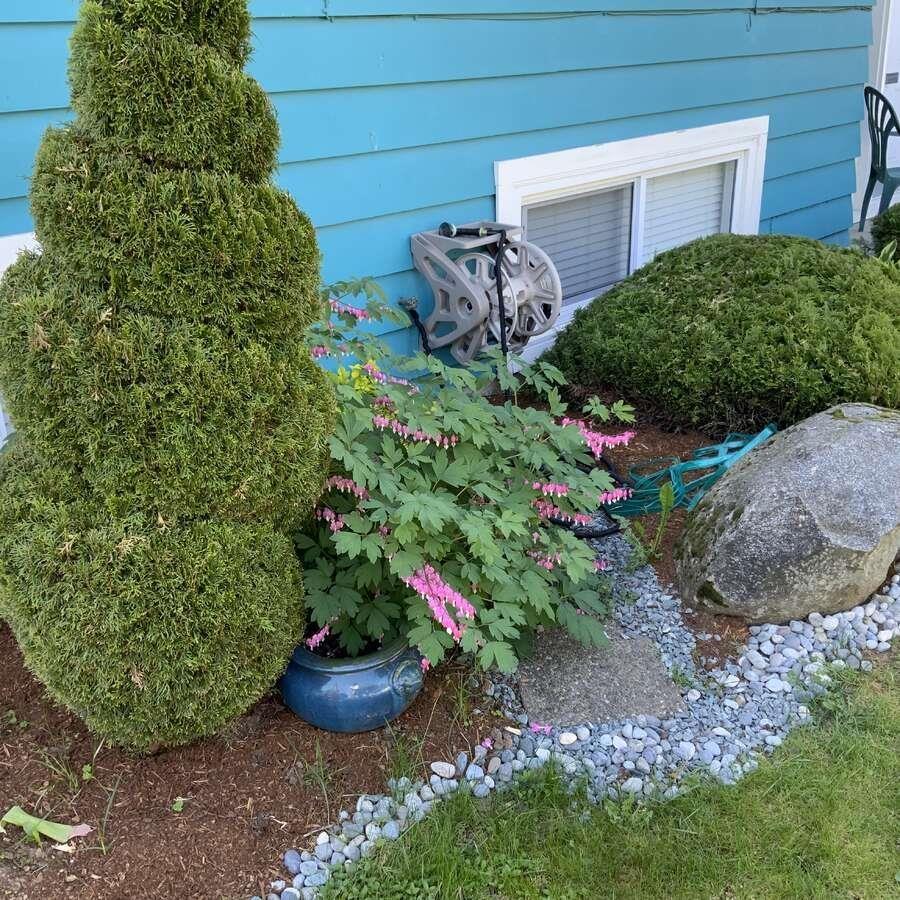 33232 HAWTHORNE AVENUE, Abbotsford