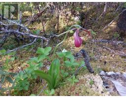 Lot B1 Katja Rose Dr, Hay Cove, NS B0E3B0 Photo 12