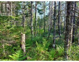 Lot B1 Katja Rose Dr, Hay Cove, NS B0E3B0 Photo 18