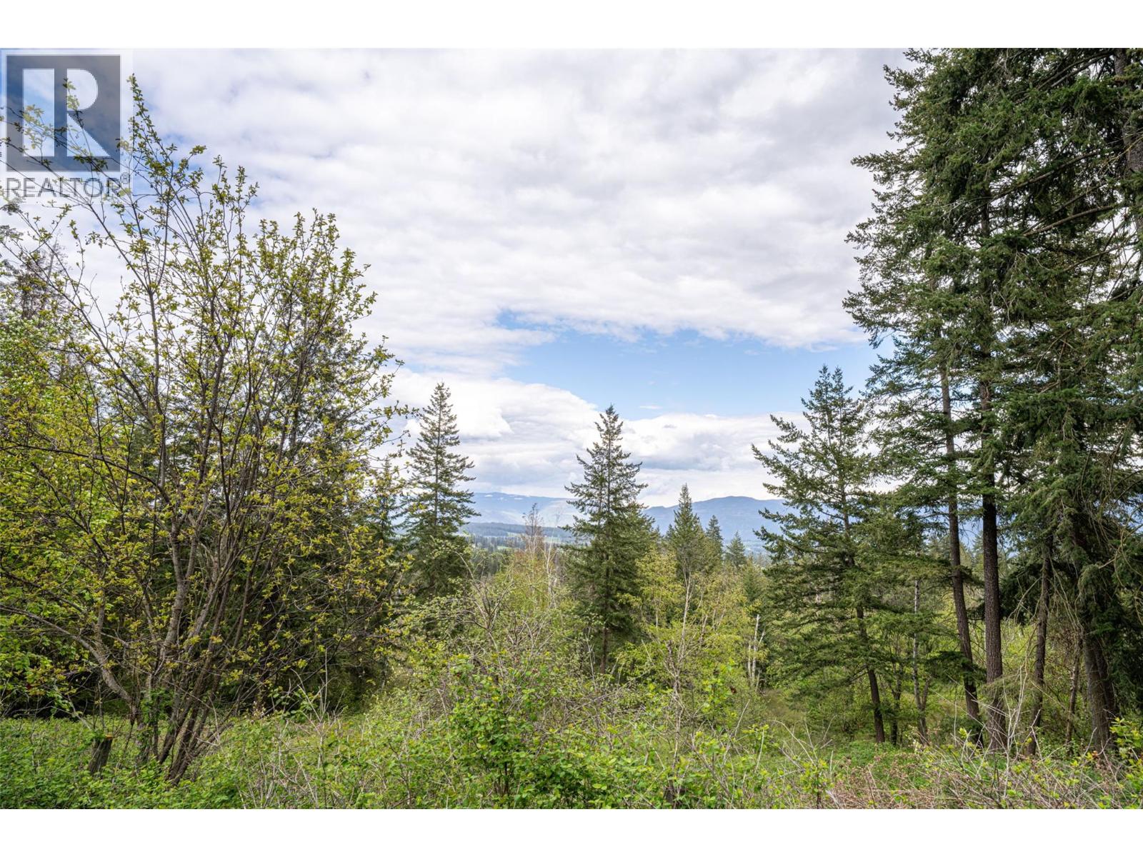 4358 Chamberlaine Road - 80