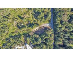 12053 Campbell Street, Mission, BC V2S1L5 Photo 6