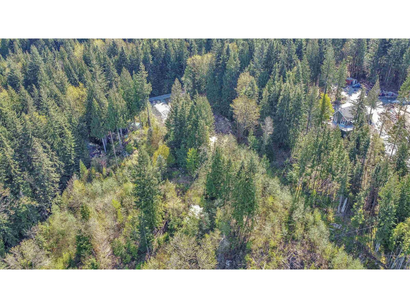 Vacant Land for Sale in Mission – 12053 CAMPBELL STREET, Mission - Image 16
