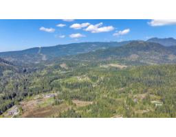 12053 Campbell Street, Mission, BC V2S1L5 Photo 26