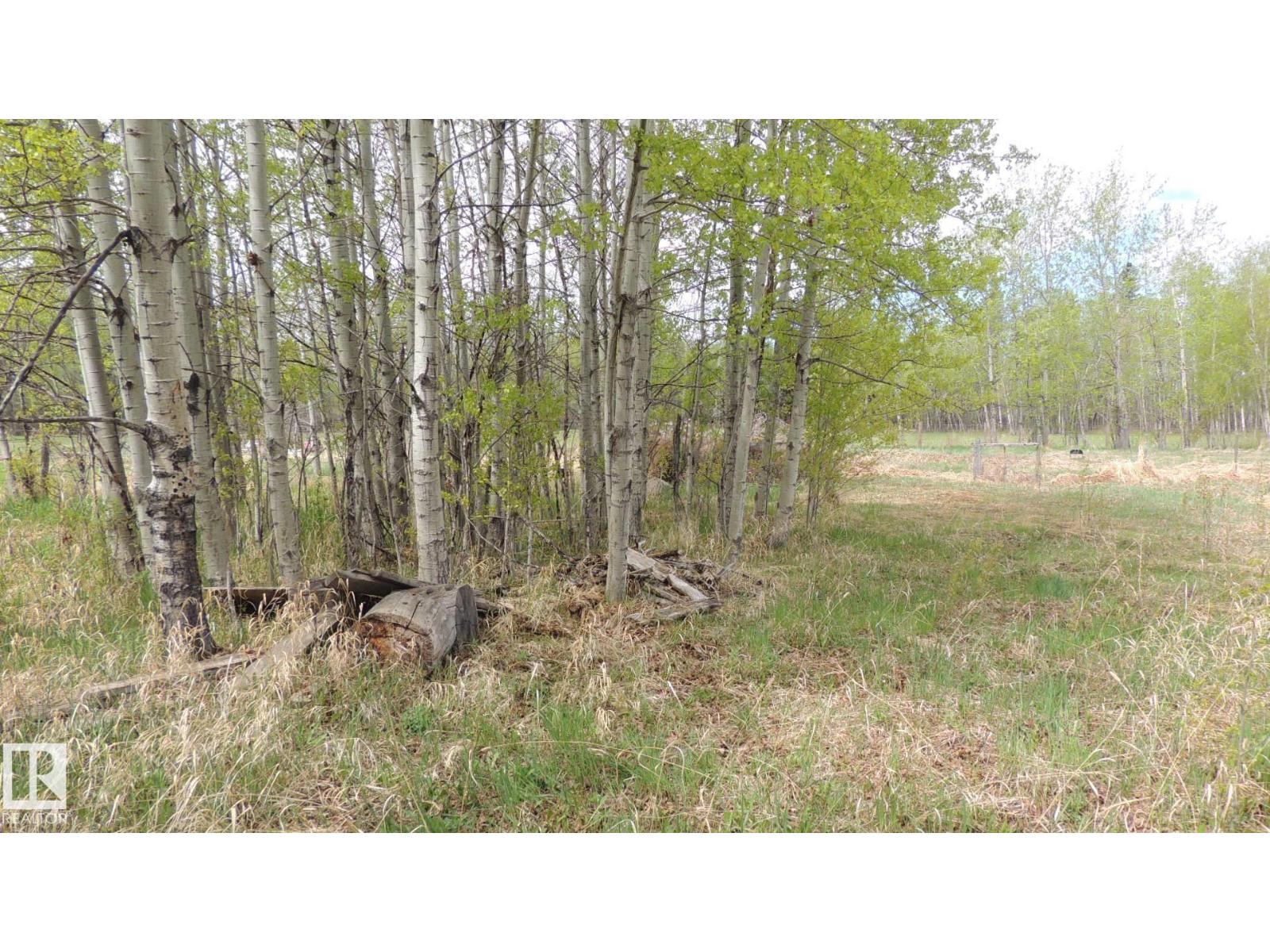 610-56102 Range Road 53 — photo 6
