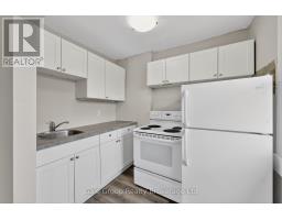 163 Thames Street N, Ingersoll, ON N5C3E3 Photo 43