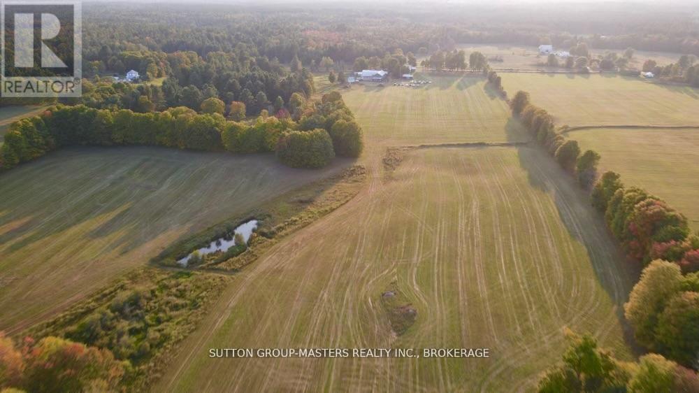 191 FIFTH CONCESSION ROAD S - 37