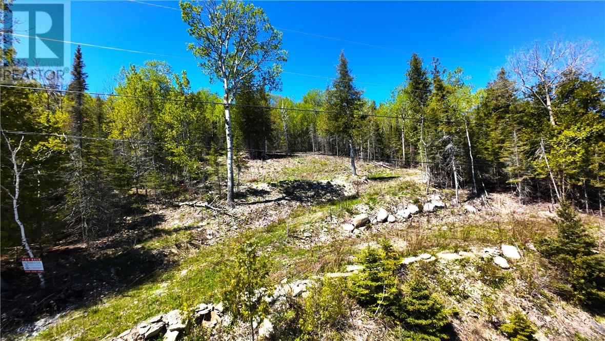 503 Lighthouse Road, Gore Bay, Ontario, P0P1H0 — Photo 10