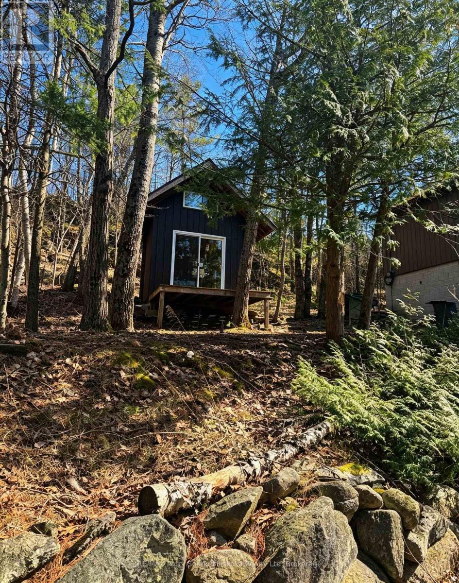 55 HEALEY LAKE WATER - 33