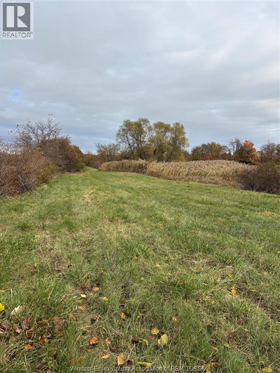 V/L County Rd 20 W, Kingsville, Ontario, N9Y2E6 — Photo 10