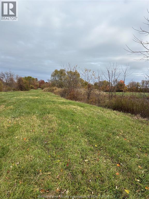 V/L County Rd 20 W, Kingsville, Ontario, N9Y2E6 — Photo 11