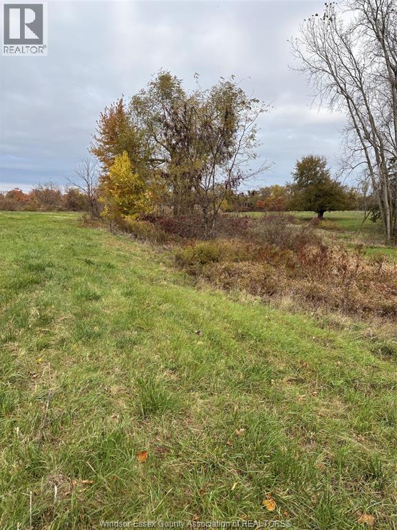 V/L County Rd 20 W, Kingsville, Ontario, N9Y2E6 — Photo 12