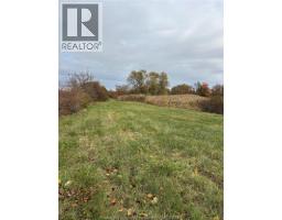 V/l County Rd 20 W, Kingsville, ON N9Y2E6 Photo 10