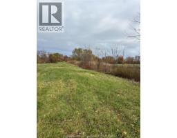 V/l County Rd 20 W, Kingsville, ON N9Y2E6 Photo 11