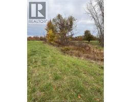 V/l County Rd 20 W, Kingsville, ON N9Y2E6 Photo 12