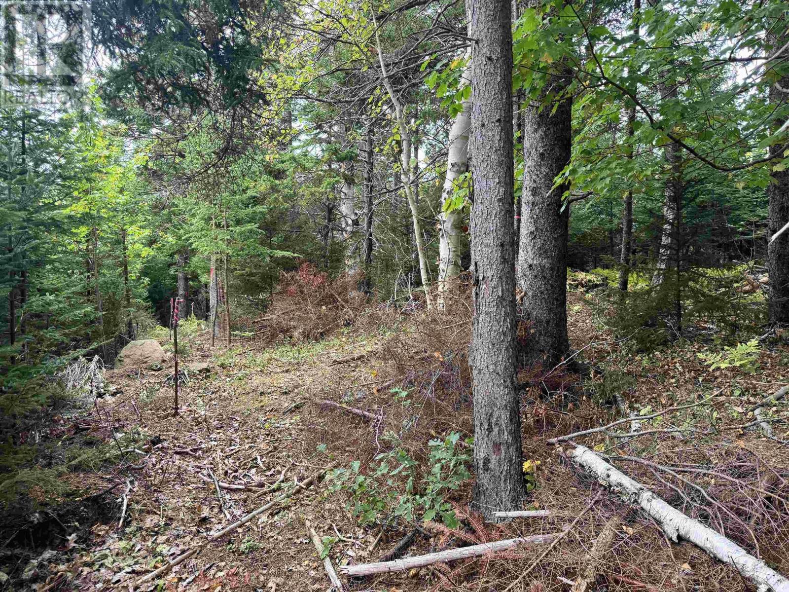 Property photo of 24-2 Forest Drive Extension