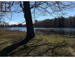 210 C Storms Road, Prince Edward County, ON K0K2P0 Photo 7