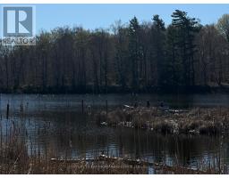 210 C Storms Road, Prince Edward County, ON K0K2P0 Photo 14