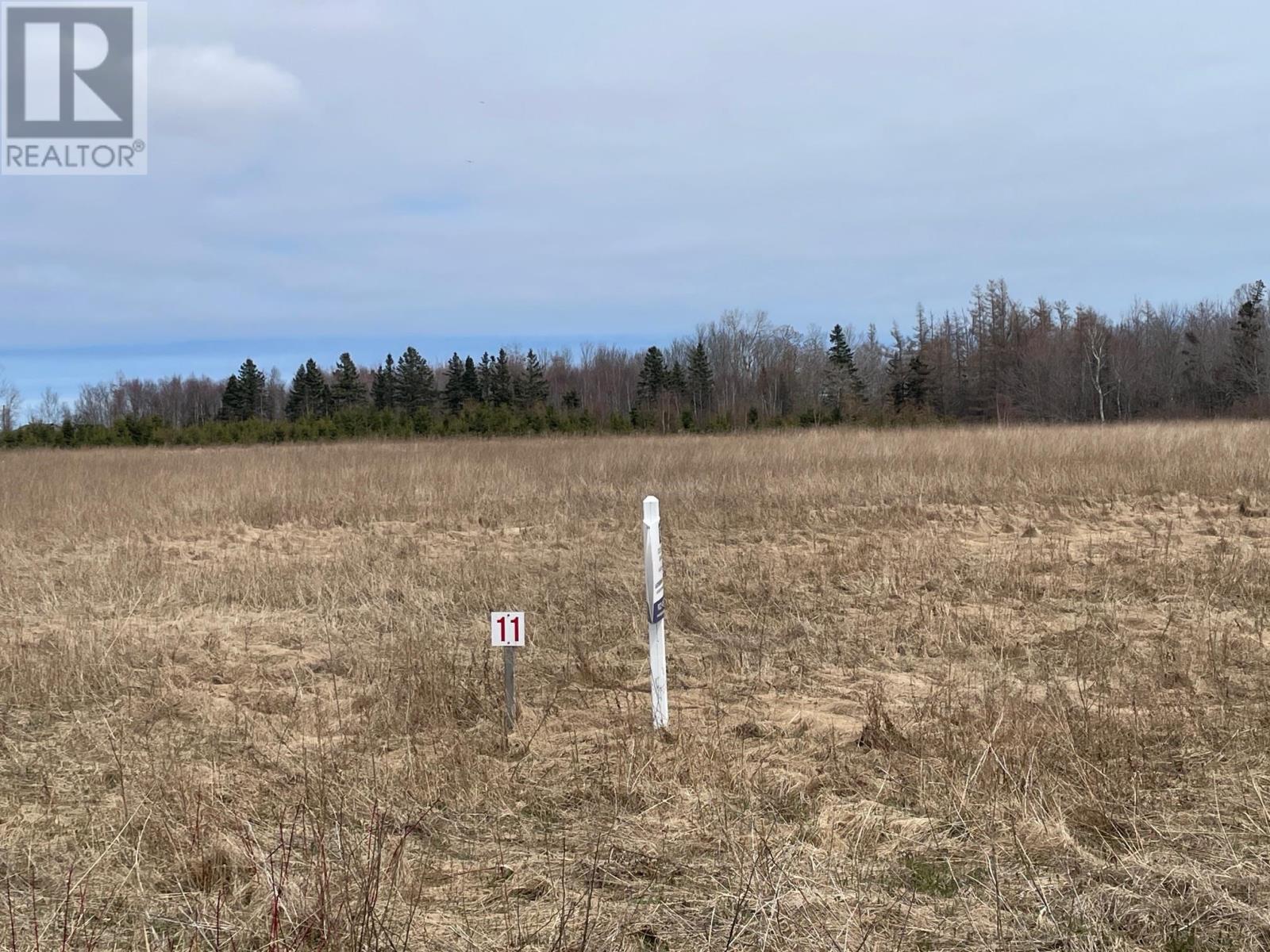 Lot 11 Route 12, Grand River — photo 3
