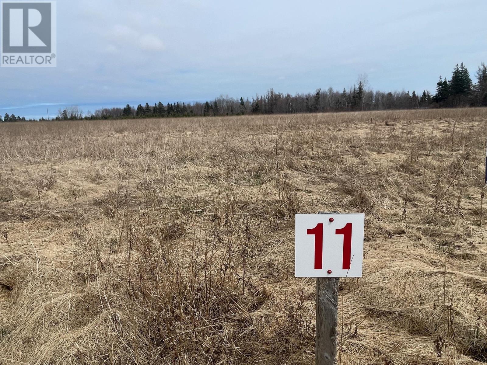 Lot 11 Route 12, Grand River — photo 2