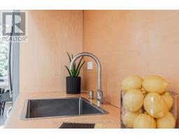 44 Massey Street, Toronto, ON M6J2T4 Photo 33