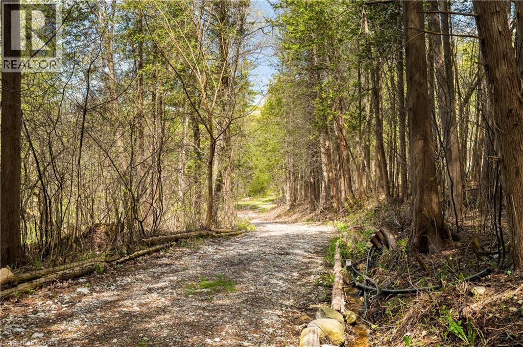 24 GRAND HILL Drive, Kitchener, Ontario, N2P2E4 — Photo 4
