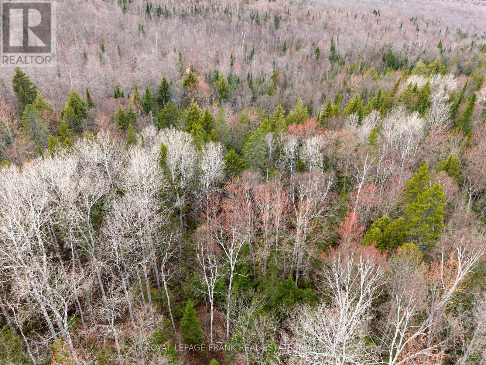841 NORTH MCKENZIE LAKE ROAD, South Algonquin — photo 3