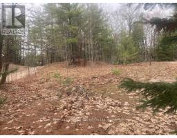 Lot 514 Tall Pines Drive, Tiny, ON L9M0H7 Photo 6